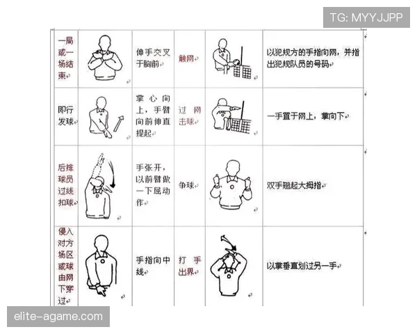 裁判手势在不同犯规判罚中的标准含义解析与误区提醒