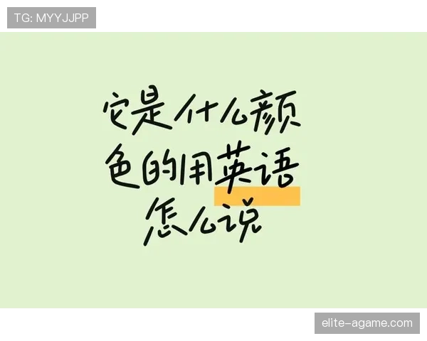足球比赛中球员资格规则的判定标准与常见误区解析